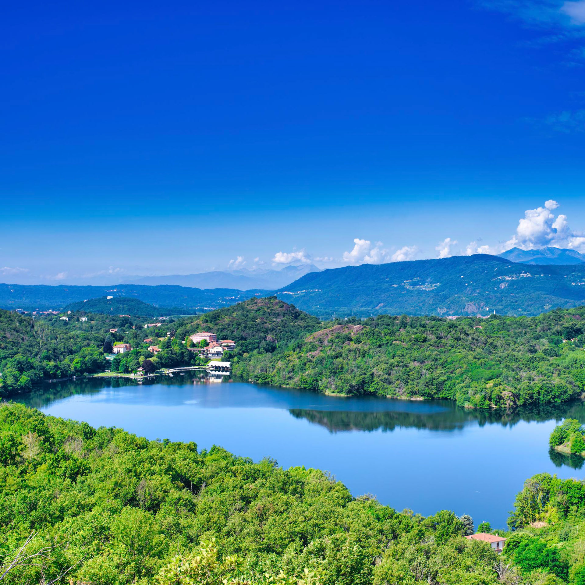 shutterstock_1902763138-squared