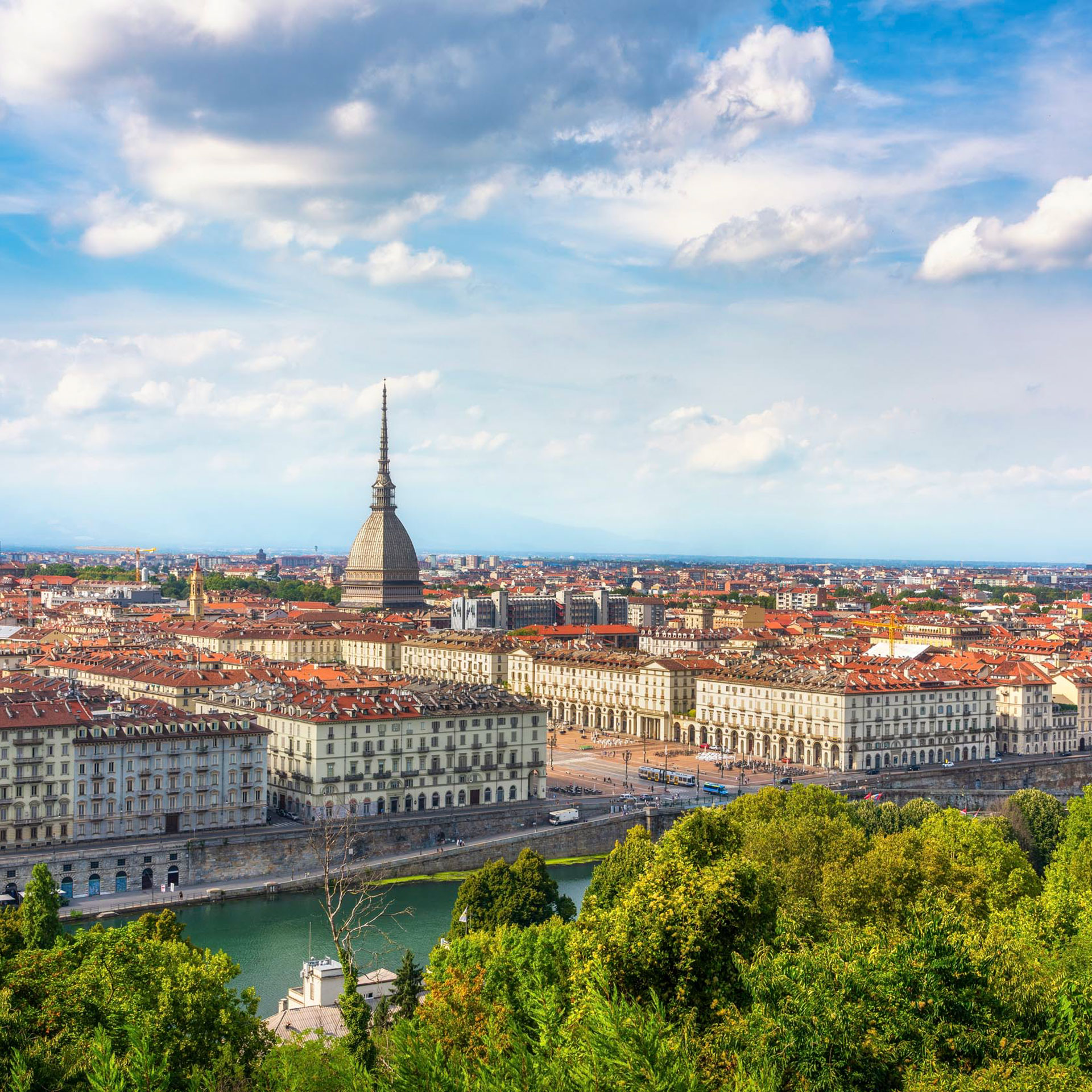 shutterstock_2679425325-squared