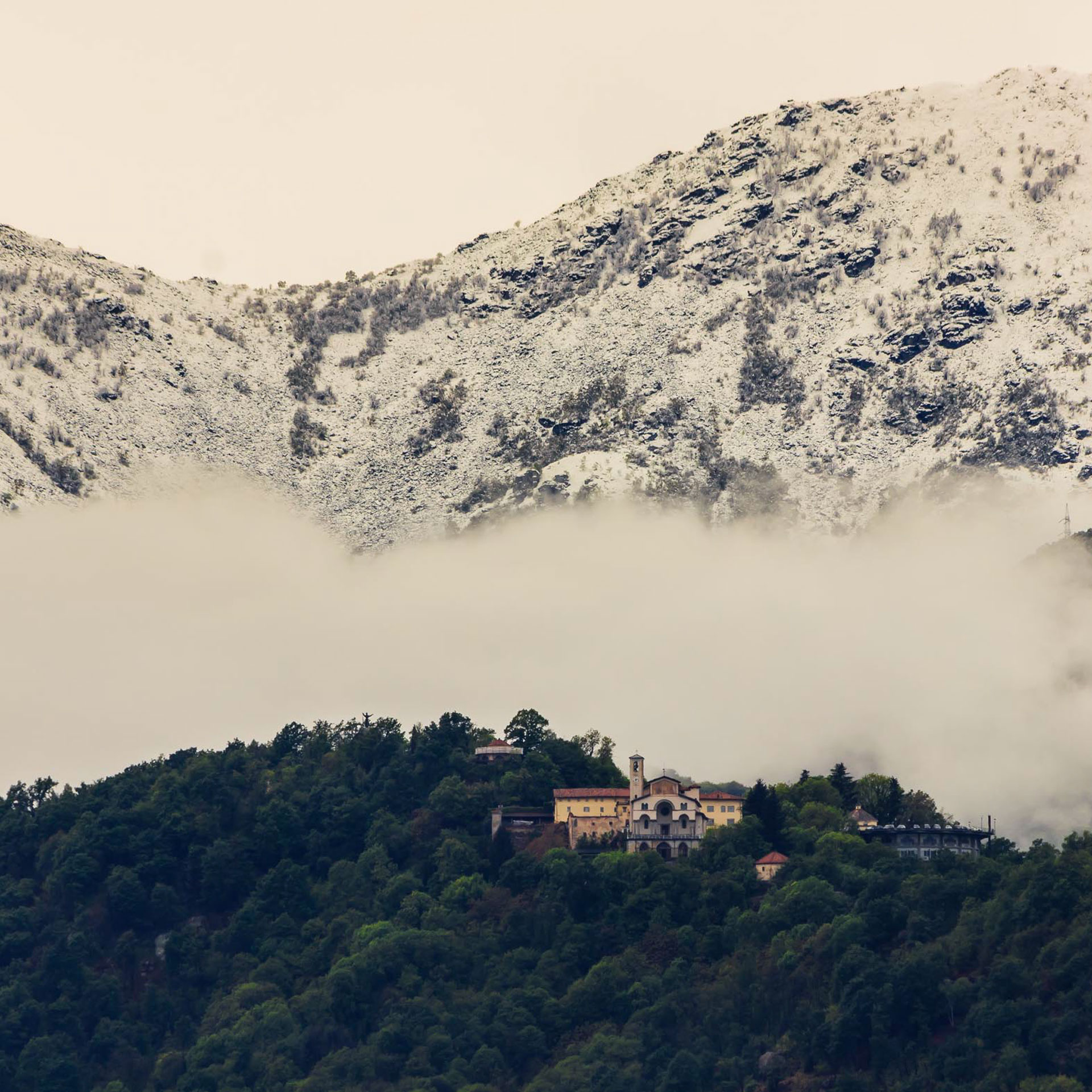 shutterstock_659632966-square